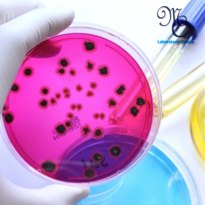 Microbiología | amarilla.co